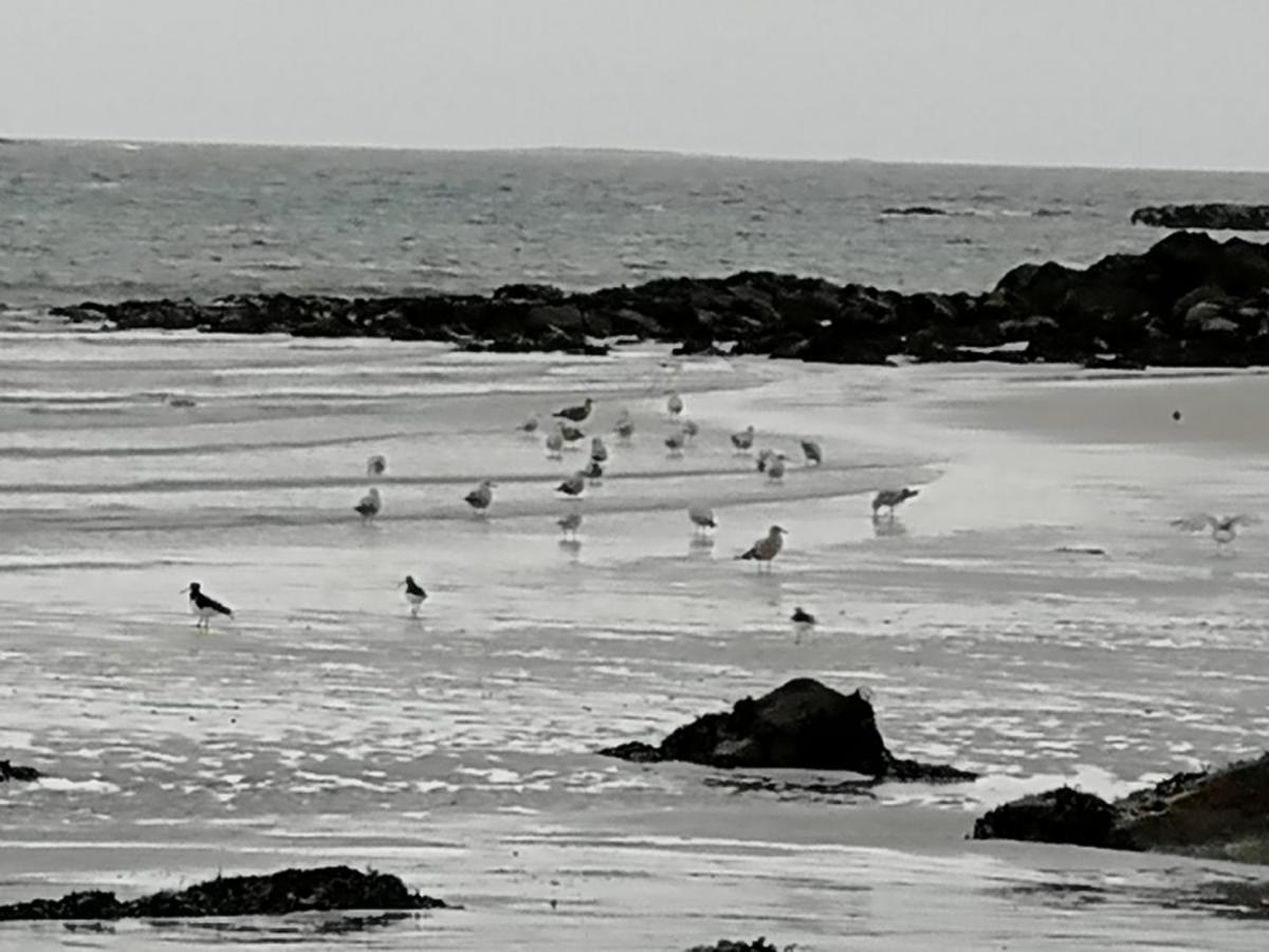 The Fisherman'S Snug Self Catering North Uist Paible Εξωτερικό φωτογραφία