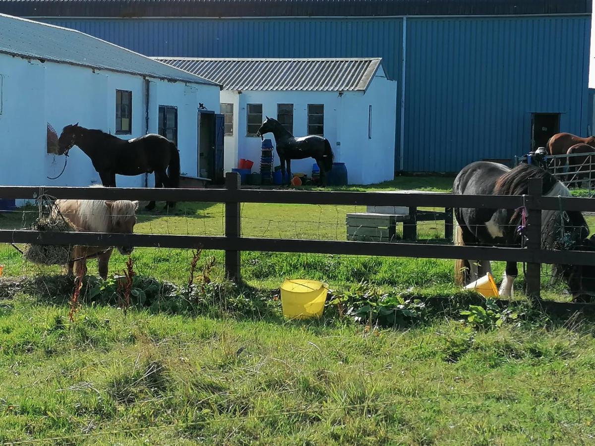 The Fisherman'S Snug Self Catering North Uist Paible Εξωτερικό φωτογραφία