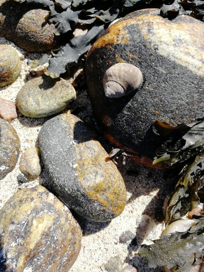 The Fisherman'S Snug Self Catering North Uist Paible Εξωτερικό φωτογραφία