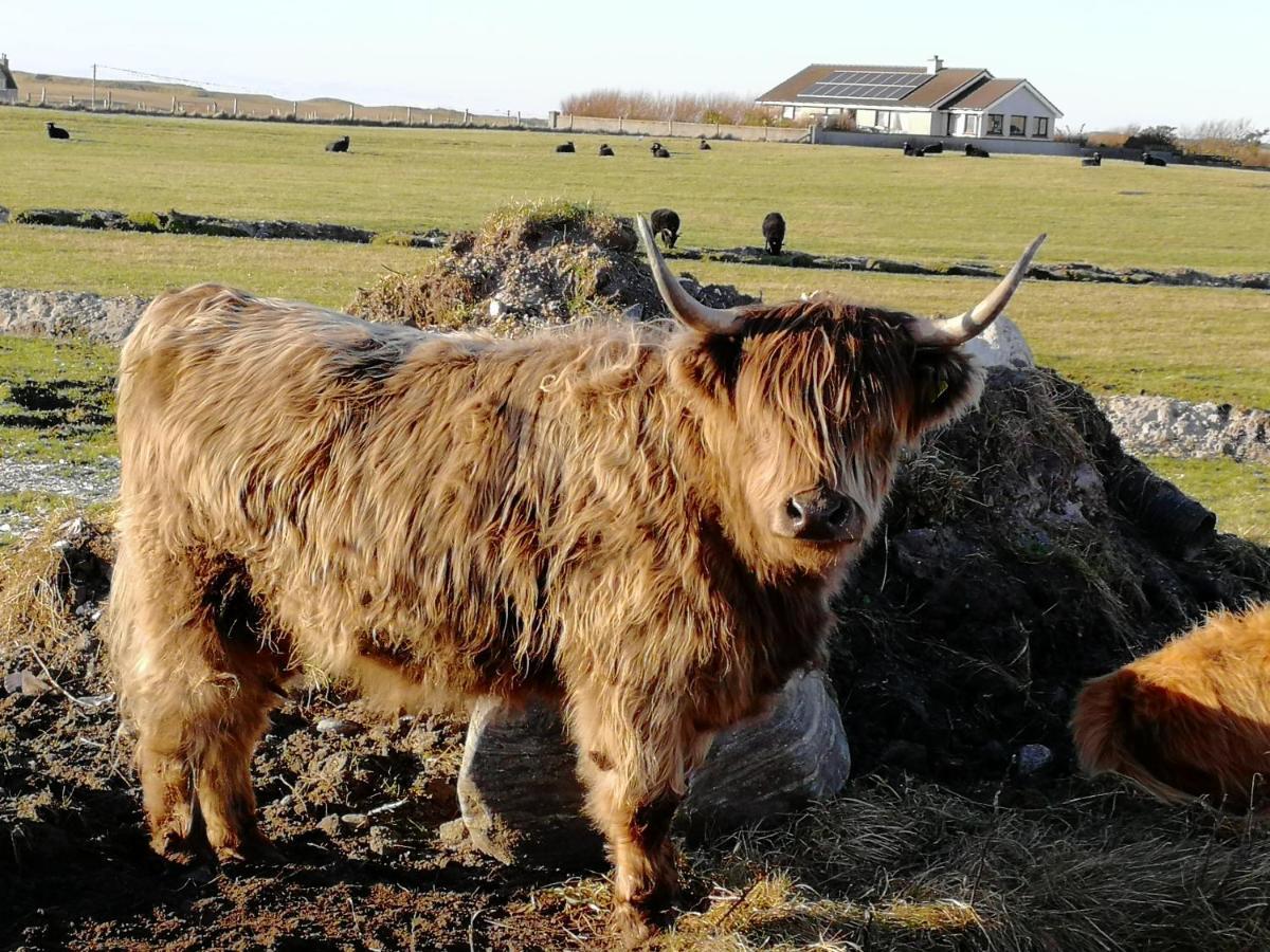 The Fisherman'S Snug Self Catering North Uist Paible Εξωτερικό φωτογραφία
