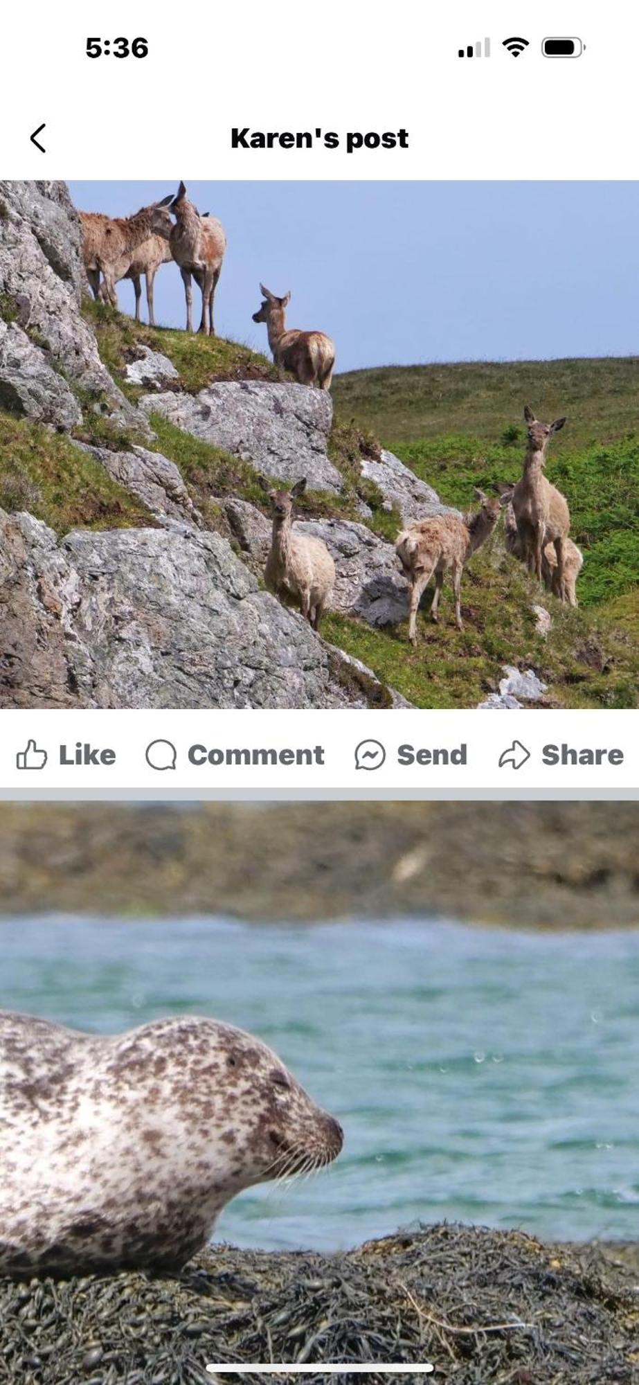 The Fisherman'S Snug Self Catering North Uist Paible Εξωτερικό φωτογραφία